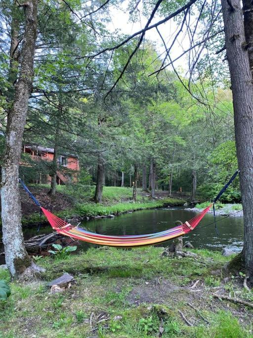 Peaceful Gateway To Island Creek Cottage East Stroudsburg Eksteriør bilde