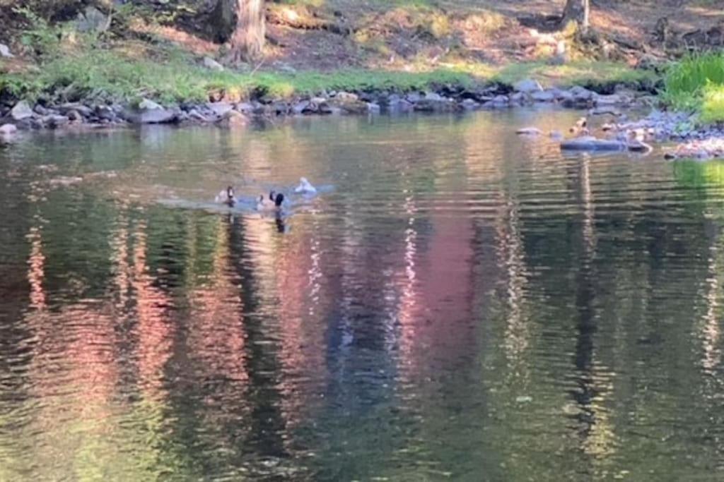 Peaceful Gateway To Island Creek Cottage East Stroudsburg Eksteriør bilde